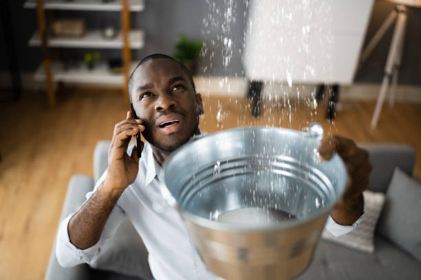  Merrionette Park, IL Water damage restoration Pros