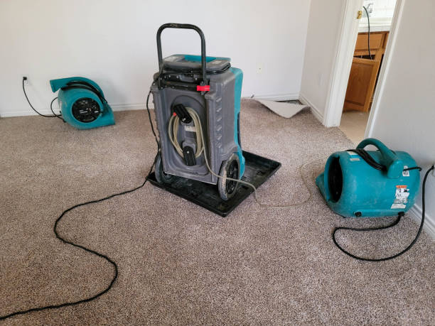 Best Water damage restoration near me  in Merrionette Park, IL