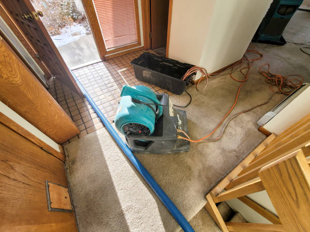 Best 24/7 water damage repair  in Merrionette Park, IL