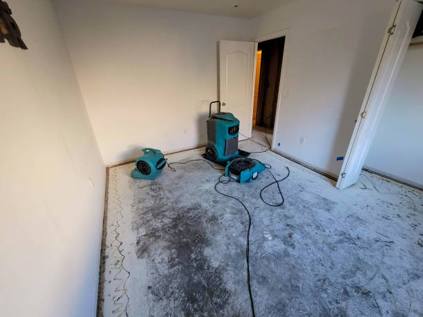 Best Flood damage cleanup  in Merrionette Park, IL