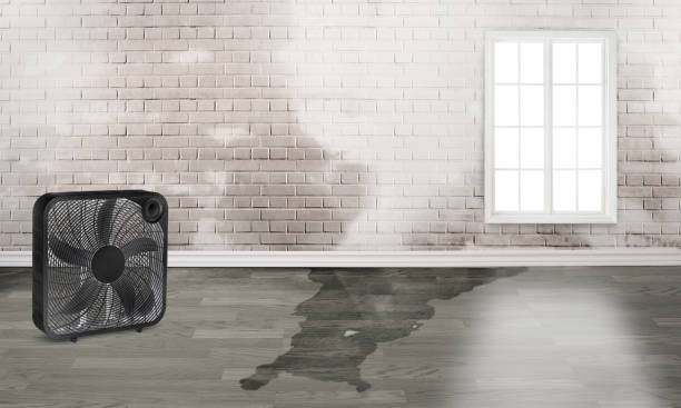Best Sewage cleanup and water damage restoration  in Merrionette Park, IL