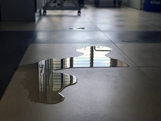 Best Water damage contractors near me  in Merrionette Park, IL