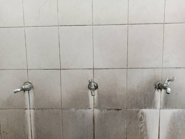Best Commercial water damage restoration  in Merrionette Park, IL
