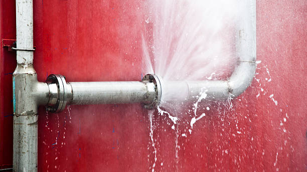 Best Flood restoration services  in Merrionette Park, IL